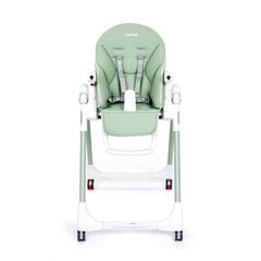 Многофункциональный стульчик для кормления Peg Perego Prima Pappa Follow Me, Mint цена и информация | Стульчики для кормления | kaup24.ee