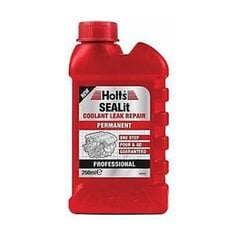 HOLTS Professionaalne multifunktsionaalne lekkeandur 250ml hind ja info | Autokeemia | kaup24.ee