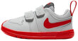 Jalatsid Nike Pico 5 Red Grey AR4162 004/6.5K цена и информация | Laste spordijalatsid | kaup24.ee