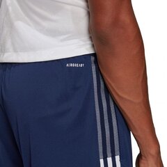 Спортивные шорты для мужчин Adidas Tiro 21 Training M GH4471, синие цена и информация | Мужская спортивная одежда | kaup24.ee