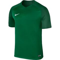 Мужская спортивная футболка Nike Dry Trophy III M 881483-302, 43639 цена и информация | Мужская спортивная одежда | kaup24.ee