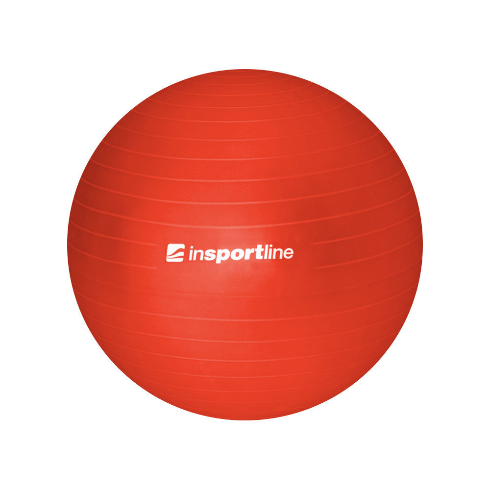 Võimlemispall inSPORTline 65 cm, pumbaga hind ja info | Võimlemispallid | kaup24.ee