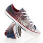 Laste spordijalatsid Converse Chuck Taylor All Star Jr 647644C цена и информация | Laste spordijalatsid | kaup24.ee