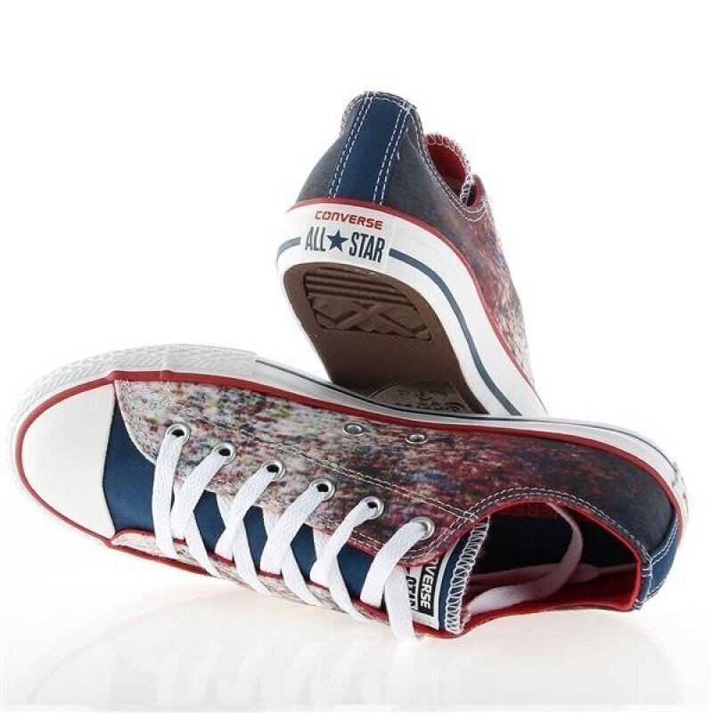 Laste spordijalatsid Converse Chuck Taylor All Star Jr 647644C цена и информация | Laste spordijalatsid | kaup24.ee