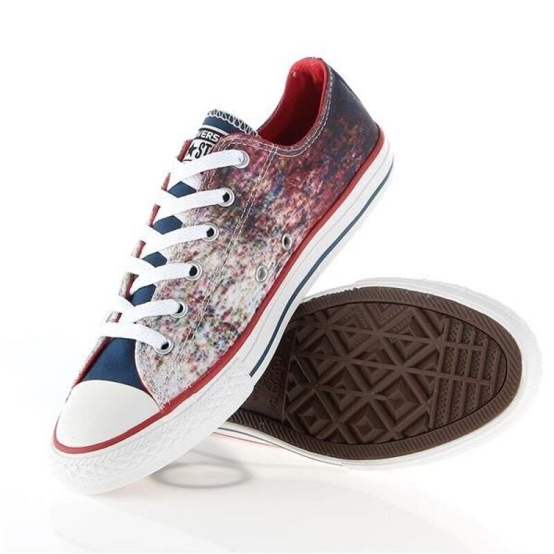 Laste spordijalatsid Converse Chuck Taylor All Star Jr 647644C hind ja info | Laste spordijalatsid | kaup24.ee