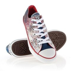 Спортивная обувь для детей Converse Chuck Taylor All Star Jr 647644C цена и информация | Детская спортивная обувь | kaup24.ee