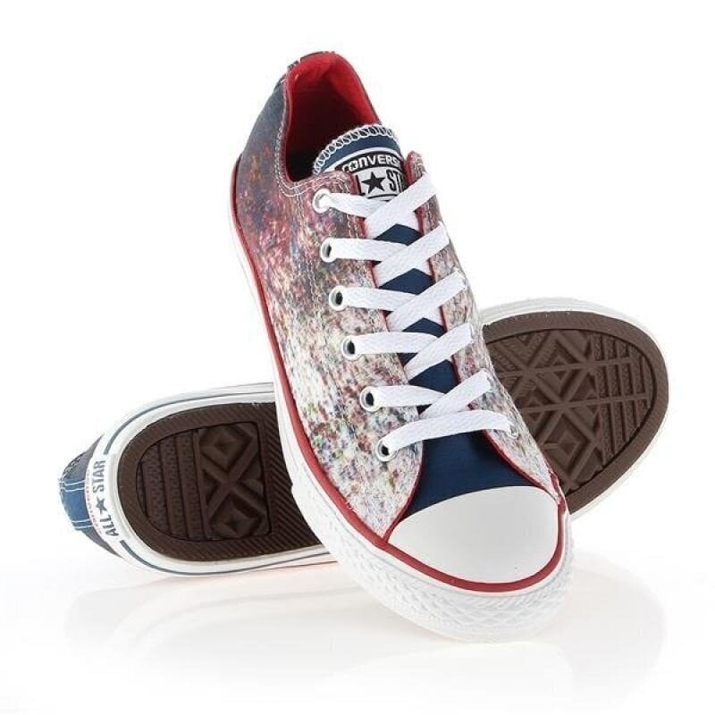 Laste spordijalatsid Converse Chuck Taylor All Star Jr 647644C цена и информация | Laste spordijalatsid | kaup24.ee