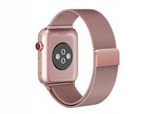 Tech Protect Watch Strap Rose Gold цена и информация | Аксессуары для смарт-часов и браслетов | kaup24.ee