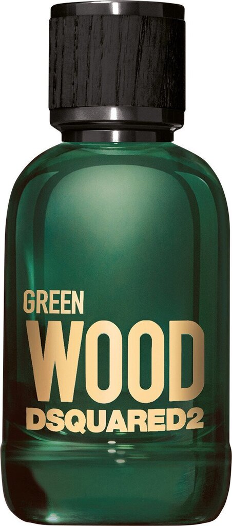 Tualettveesprei Dsquared 2 Green Wood, 30 ml цена и информация | Meeste parfüümid | kaup24.ee