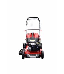 Бензиновая газонокосилка Tamerpro 150 куб.см с двигателем BRIGGS - STRATTON цена и информация | Газонокосилки | kaup24.ee