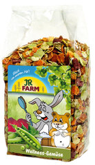 JR Farmi näriliste söödalisand taimsete helvestega Wellness Vegetables, 600 g цена и информация | Корм для грызунов | kaup24.ee