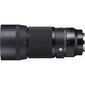 Sigma 105mm f/2.8 DG DN Macro Art objektiiv Sonyle цена и информация | Objektiivid | kaup24.ee