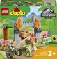 10939 LEGO® DUPLO Dinosauruse põgenemine цена и информация | Klotsid ja konstruktorid | kaup24.ee