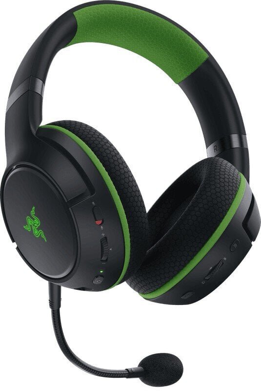 Razer RZ04-03470100-R3M1 hind ja info | Kõrvaklapid | kaup24.ee