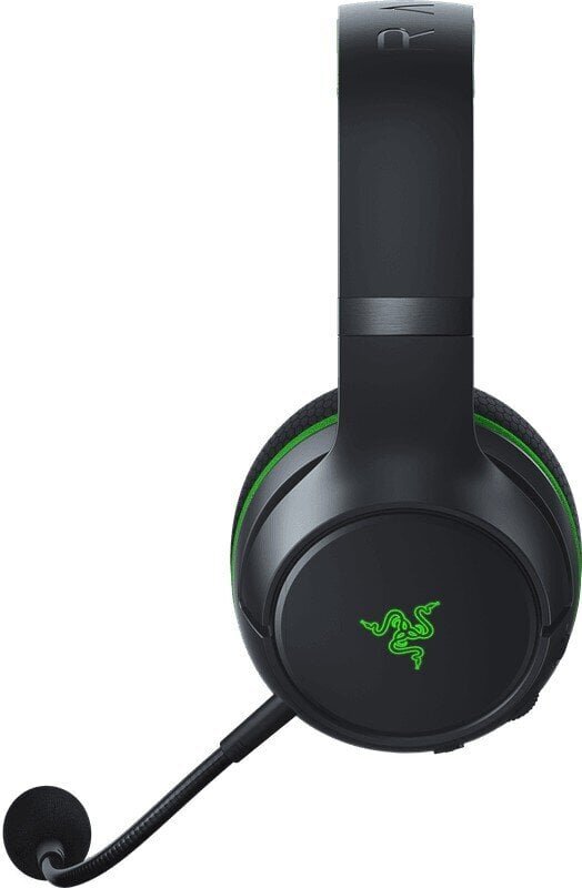 Razer RZ04-03470100-R3M1 цена и информация | Kõrvaklapid | kaup24.ee