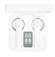 XO X2 TWS EarBuds Bluetooth 5.0, valge цена и информация | Наушники | kaup24.ee