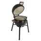 Kamado grill lisadega Zyle 39,8 cm, Starter, ZY16KSBLSET, must цена и информация | Grillid | kaup24.ee