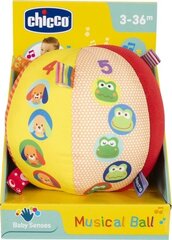 Мягкий музыкальный шар Chicco 372544 цена и информация | Игрушки для малышей | kaup24.ee