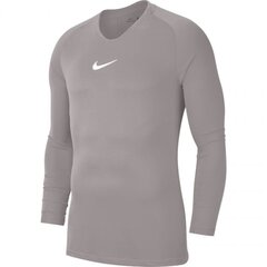 Meeste T-särk Nike Dry Park First Layer JSY LS M AV2609 057, hall цена и информация | Мужская спортивная одежда | kaup24.ee