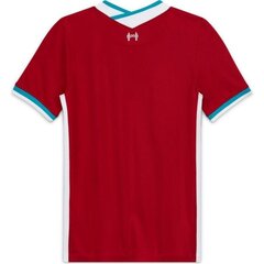 Nike мужская спортивная рубашка Liverpool FC Stadium Home YM CZ2647-687 (63740), красная цена и информация | Мужская спортивная одежда | kaup24.ee