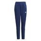 Spordipüksid poistele Adidas Tiro21 Sweat Jr GK9675, sinine hind ja info | Poiste püksid | kaup24.ee