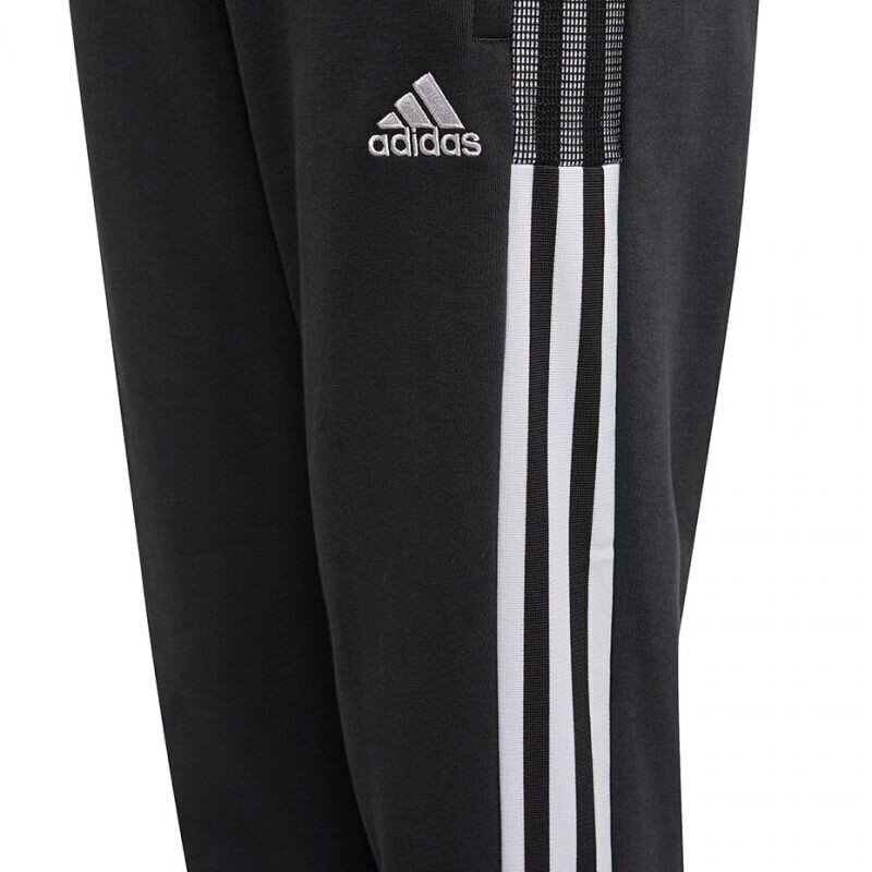 Spordipüksid lastele Adidas Tiro21 Sweat Jr GM7332 77808 hind ja info | Poiste püksid | kaup24.ee