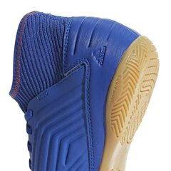 Футбольные бутсы Adidas Predator 19.3 IN Jr CM8543, 46162 цена и информация | Футбольные бутсы | kaup24.ee