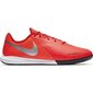 Jalgpalli puutsad Nike Phantom Vsn Academy DF IC M AO3225-600 цена и информация | Jalgpallijalatsid | kaup24.ee