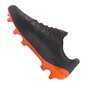 Jalgpalli puutsad Puma King Platinum FG / AG M 105606-04 цена и информация | Jalgpallijalatsid | kaup24.ee