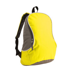 Двухцветный рюкзак цена и информация | Рюкзаки и сумки | kaup24.ee