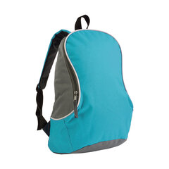 Двухцветный рюкзак цена и информация | Рюкзаки и сумки | kaup24.ee