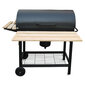 Grill 76х40 cm hind ja info | Grillid | kaup24.ee