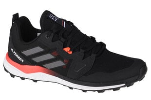 Кеды мужские Adidas Terrex Agravic Trail FX6859 цена и информация | Кроссовки для мужчин | kaup24.ee