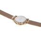 Naiste käekell Pierre Cardin Pigalle plissée Rose Gold Stainless Steel Mesh Watch hind ja info | Naiste käekellad | kaup24.ee