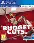 PlayStation VR mäng Budget Cuts цена и информация | Arvutimängud, konsoolimängud | kaup24.ee