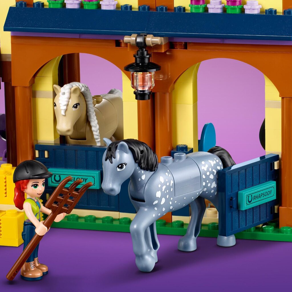 41683 LEGO® Friends Лесной центр верховой езды цена | kaup24.ee