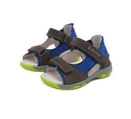D.D.Step  кожаные  ботинки  AO40-343M  Royal Blue              цена и информация | Детские сандалии | kaup24.ee