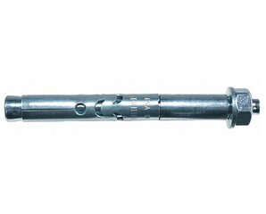 Ankeris su veržle FSA B 10/60 10x119 mm цена и информация | Инструменты крепления | kaup24.ee