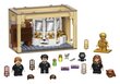 76386 LEGO® Harry Potter Mitmemahlamögina eksitus hind ja info | Klotsid ja konstruktorid | kaup24.ee