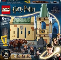 76387 LEGO® Harry Potter Kohtumine Puhhiga цена и информация | Конструкторы и кубики | kaup24.ee