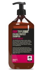 Šampoon Eight Triple Eight Colour Protect, 1000 ml hind ja info | Šampoonid | kaup24.ee