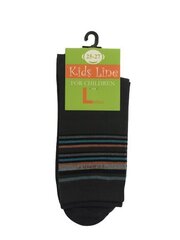 Подростковые носки (Темно-серого цвета) цена и информация | Носки, колготки для мальчиков | kaup24.ee