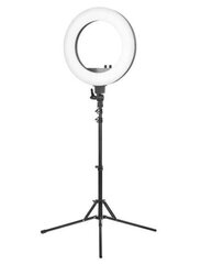 Ring LED lamp, suurus XXL (44 cm) puldi ja alusega hind ja info | Fotovalgustuse seadmed | kaup24.ee