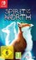 Nintendo Switch mäng Spirit of the North цена и информация | Arvutimängud, konsoolimängud | kaup24.ee