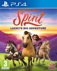 PS4 Spirit : Lucky's Big Adventure. цена и информация | Компьютерные игры | kaup24.ee