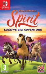 SWITCH Spirit: Lucky's Big Adventure. цена и информация | Компьютерные игры | kaup24.ee