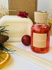 Набор аромата для дома и с марсельским мылом Mediteranean Citrus Carbaline 50 мл цена и информация | Домашние ароматы с палочками | kaup24.ee