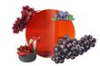 Kodulõhnastaja Red Wine komplekt Carbaline 100 ml + 20 ml цена и информация | Kodulõhnastajad | kaup24.ee