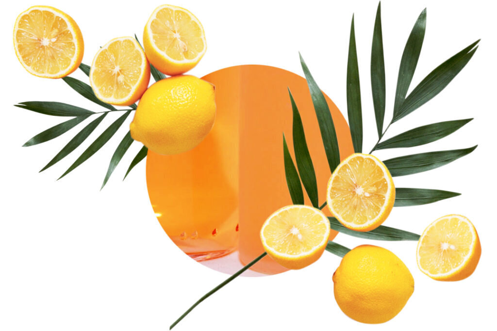 Kodu lõhnastaja komplekt Mediteranean Citrus Marseille seebiga 250ml цена и информация | Kodulõhnastajad | kaup24.ee