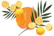 Kodu lõhnastaja komplekt Mediteranean Citrus Marseille seebiga 250ml цена и информация | Kodulõhnastajad | kaup24.ee